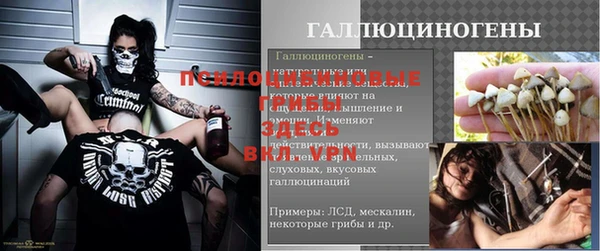 соль ск Богданович