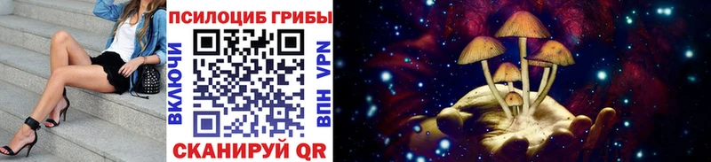 Галлюциногенные грибы Psilocybe  цены   Великие Луки 